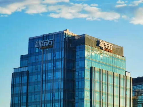 新東方成立數字科技公司 數字文化創意內容應用服務的戰略布局與未來展望